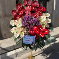پخش کننده گل شبکه ای تاجگل|گل و گیاه طبیعی|تهران, آهنگ|دیوار