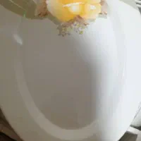 تعدادی ظروف چینی و میلامین|ظروف سرو و پذیرایی|شیراز, فرگاز|دیوار