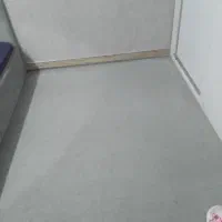 پالاز موکت