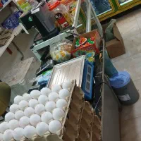 واگذاری سوپر مارکت|اجارهٔ مغازه و غرفه|بجنورد, |دیوار