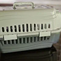 لوازم گربه|لوازم جانبی حیوانات|نوشهر, |دیوار