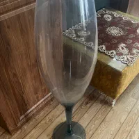 گلدان شیشه ای بزرگ|گل و گیاه طبیعی|رشت, تازه آباد|دیوار