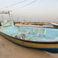 جلد جلی|قایق و سایر وسایل نقلیه|قشم, |دیوار