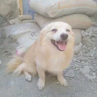 نر و ماده رودان هستش