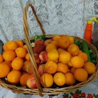 سبد چوبی بزرگ