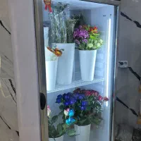 یخچال ایستاده