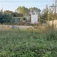 زمین۲۰۳متری/سندار/اقساطی