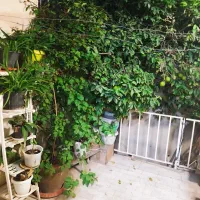 فروش خانه|فروش خانه و ویلا|قم, چهل درخت‎|دیوار