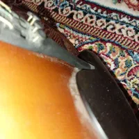 ویولن tf132|ویولن|اصفهان, باغ فردوس|دیوار