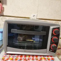 توستر ۶۰ لیتر ویونا