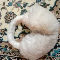 گوشبند سفید