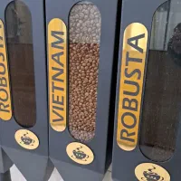 استخدام بازاریاب خانم