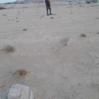 آبشورک ، زمین سند دار ۲۰۰متری ، معاوضه با خودرو|فروش زمین و ملک کلنگی|بندرعباس, |دیوار