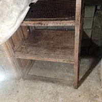 قفس جفت‌های خان