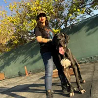 مربی سگ (خانم)|خدمات آموزشی|تهران, جردن|دیوار