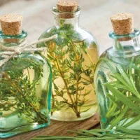 فروش انواع عرقیات گیاهی