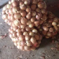 صد تن پیاز زرد شش ماهه فروشی|خوردنی و آشامیدنی|سیلاخور, |دیوار