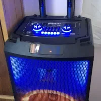 اسپیکر حرفه‌ای