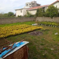 زمین در سرولات فرهاد 89