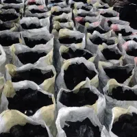 ذغال|کوهنوردی و کمپینگ|اردبیل, |دیوار