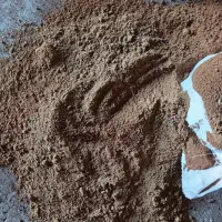فروش پودر خرما خوراک دام و طیور وآبزیان