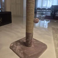 اسکرچر گربه