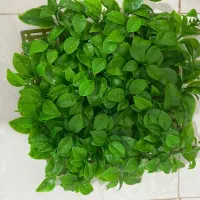 چمن مصنوعی مناسب کافه ودکور