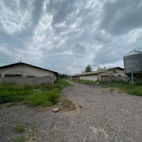 فروشِ فوریِ مرغداریِ گوشتی در صومعه سرا