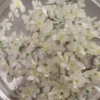 وسایل  منزل|گلیم، جاجیم، گبه|نهاوند, |دیوار