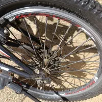 دوچرخه|دوچرخه، اسکیت، اسکوتر|نوشین شهر, |دیوار