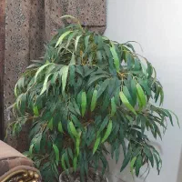 درختچه مصنوعی