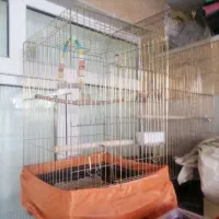 چندتا قفس بزرگ درحد نو