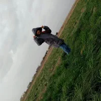 کارگر برای جمع کردن جعفری