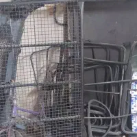 باربند پیکان وانت مبلی نو نو