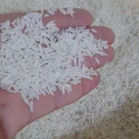 برنج طارم هاشمی