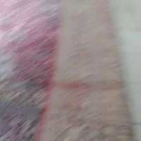 یک عده فرش ۱۲متر زمین لاکی سالم|فرش|اصفهان, سودان|دیوار