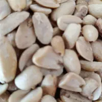 اردگیری و کره بادام زمینی|فروشگاه و مغازه|ایرانشهر, |دیوار
