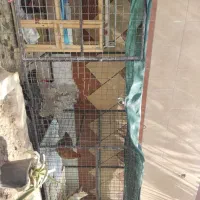 قفس فلزی بزرگ