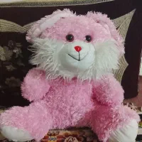 عروسک