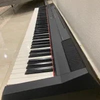 پیانو p115 دیجیتال|پیانو، کیبورد، آکاردئون|بهشهر, |دیوار