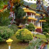 پارکویلای1700متری+فرنیش‌کامل+پلاک‌صفرجنگل+سندتکبرگ