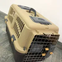 گربه|گربه|کرمانشاه, |دیوار