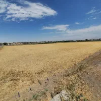 زمین کشاورزی یک هکتار،سنددار|فروش دفتر صنعتی، کشاورزی، تجاری|محمدشهر, محمدشهر|دیوار