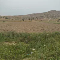 فروش-زمین