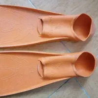 فین شنا