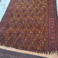 فرس دستباف سیستان|فرش|زاهدان, |دیوار