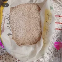 برنج طارم هاشمی ،ایرانی
