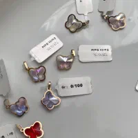 تنوع پلاکهای سوارسکی از ۱/۶۰۰/۰۰۰ تا۲/۰۰۰/۰۰۰ تومن