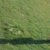 فروش-زمین-اسلام-اباد-واگذاری-بنیاد-مسکن