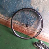 رینگ فونیکس